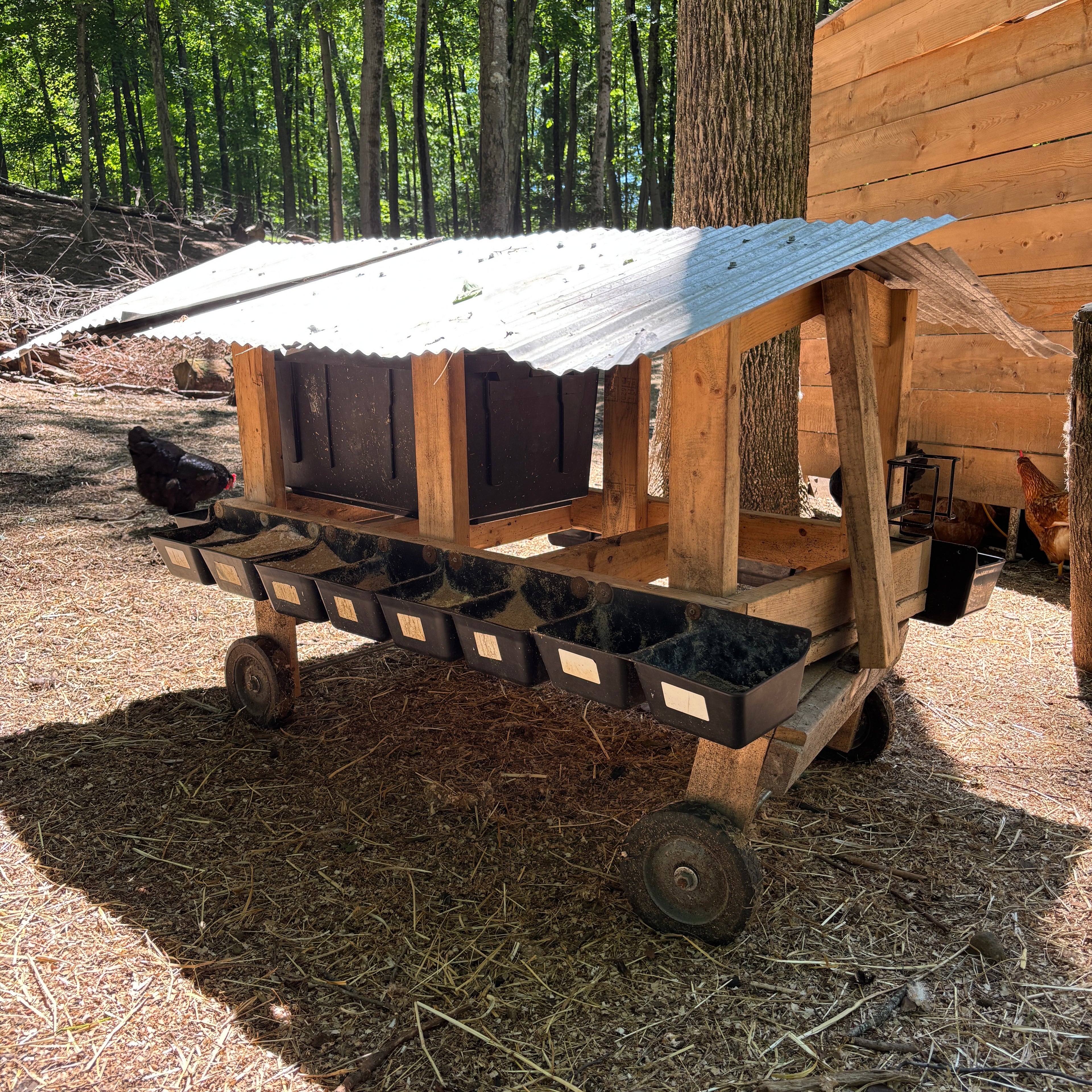 mobile mineral buffet cart for livestock